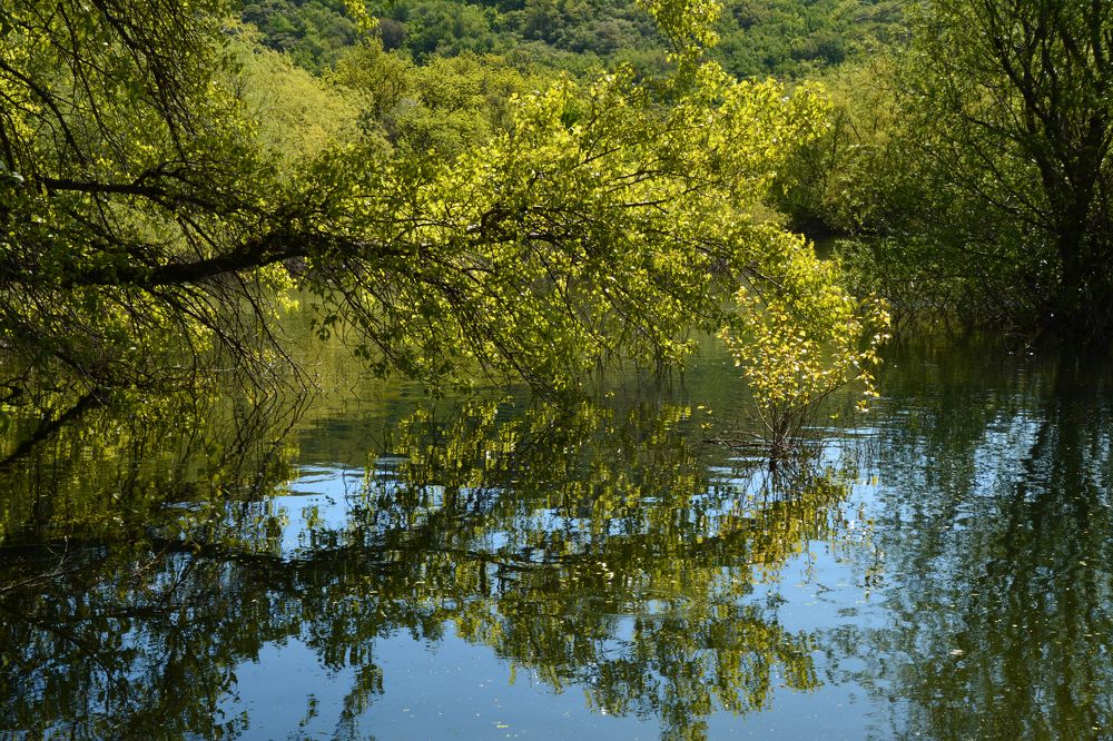 Photograph by Екатерина Крючкова