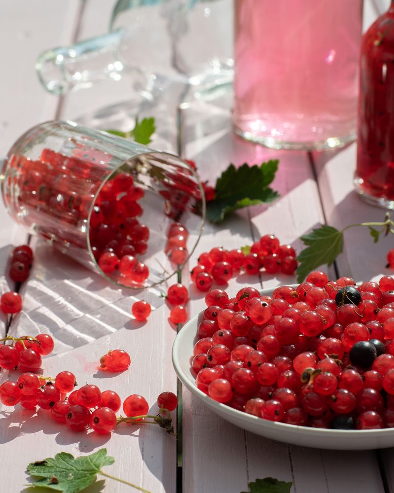 Фотография автора Татьяна Чугунова