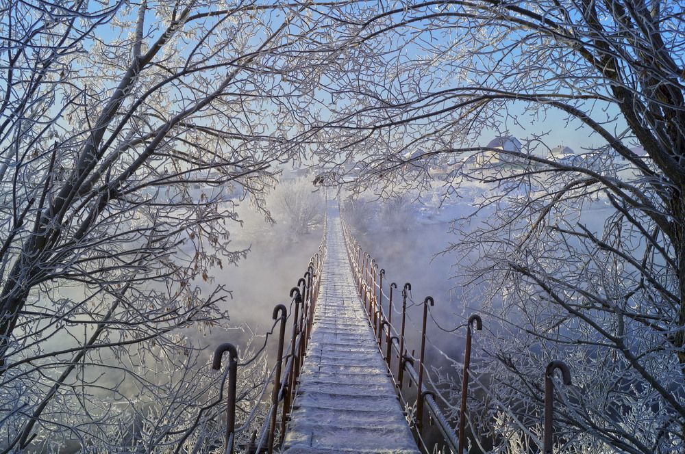 Photograph by Мишустина Татьяна