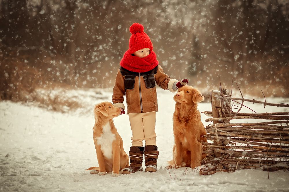 Photograph by Iryna Petrenko