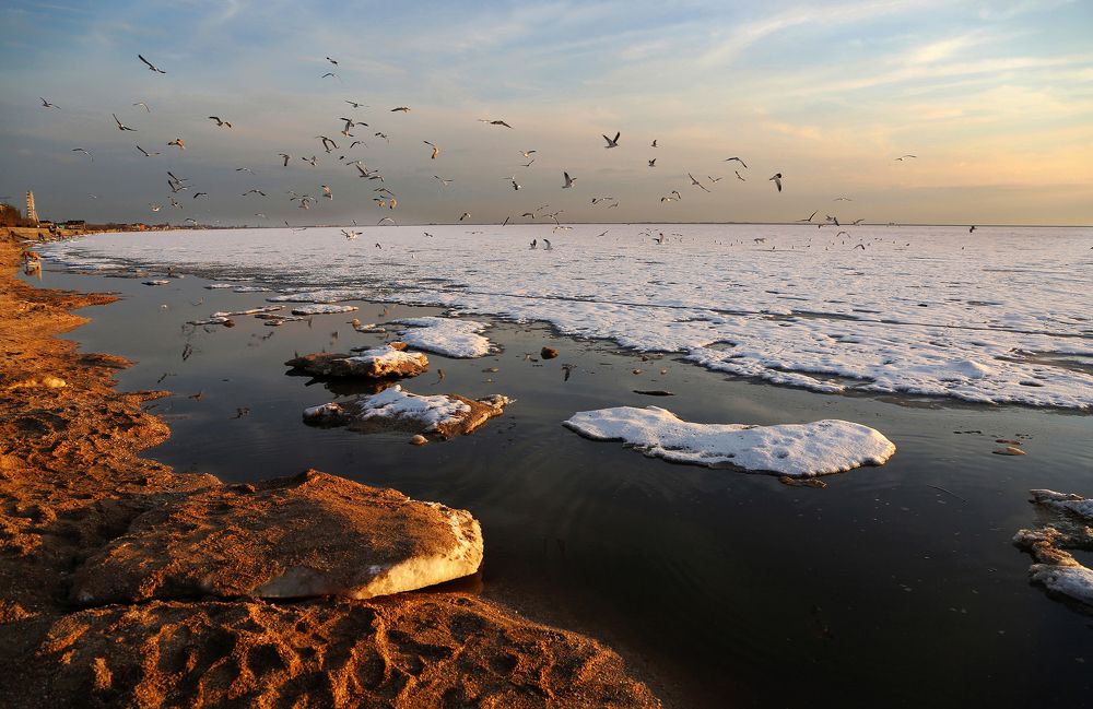 Фотография автора Нилла Шарафан