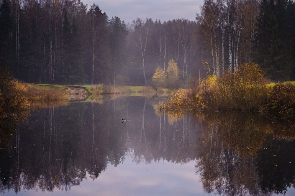 Photograph by Олег Бабурин