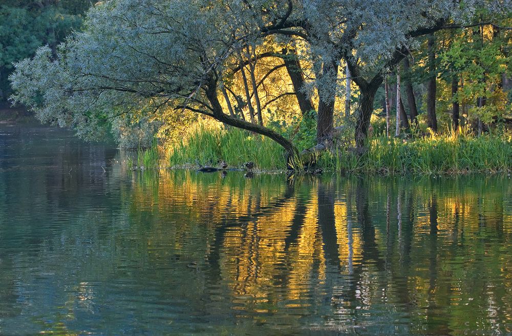 Photograph by Анна Цветковская