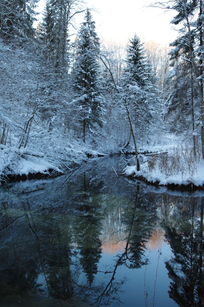 Photograph by Елена Шавшина