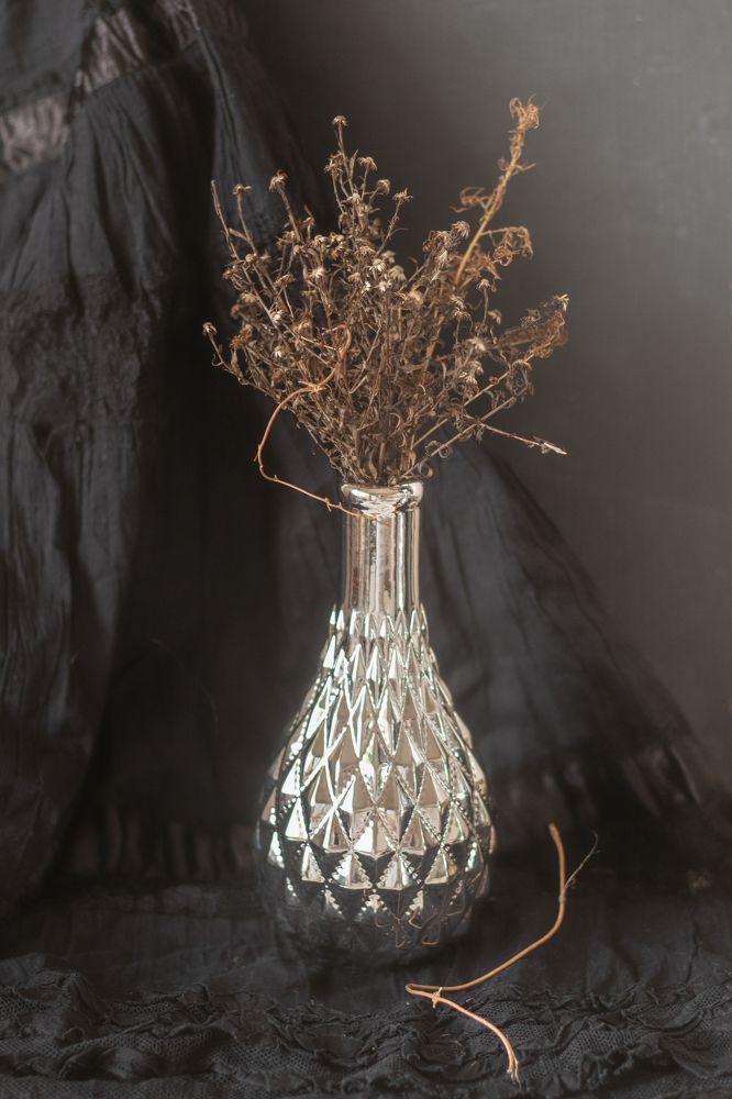 Photograph by Анастасия