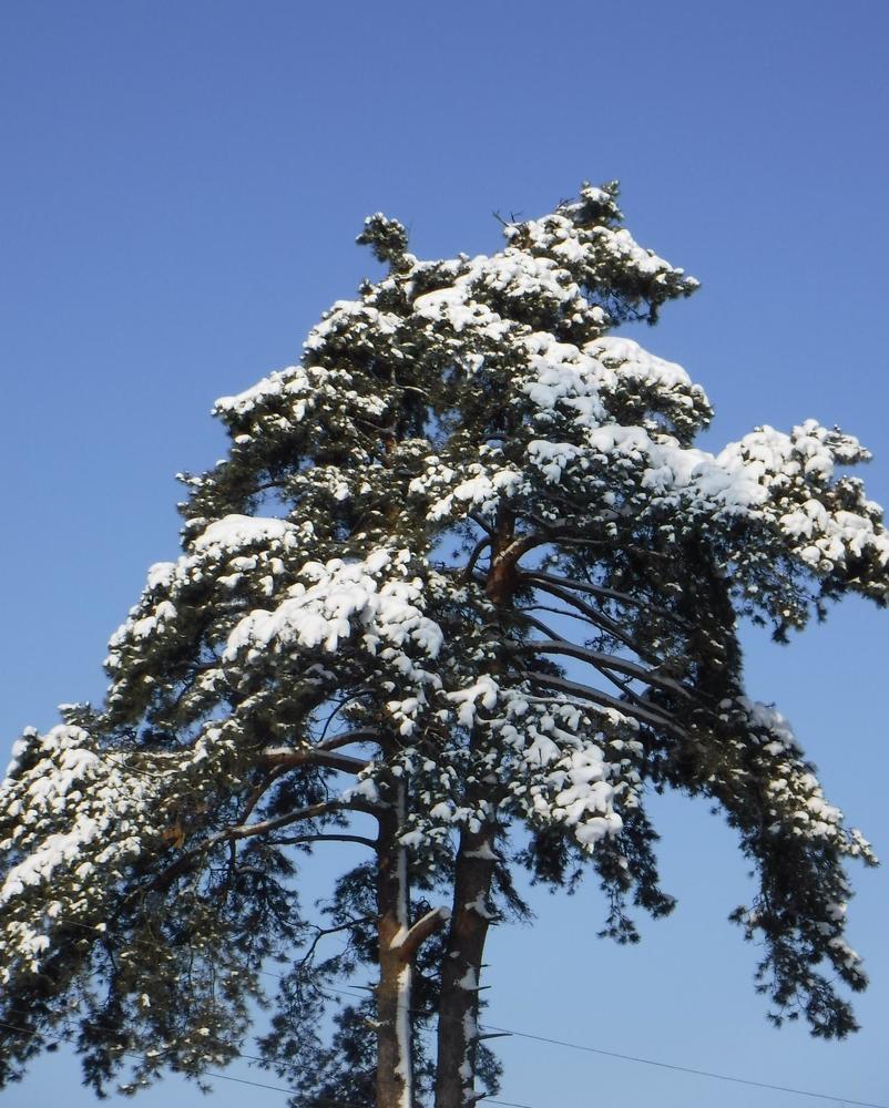 Photograph by Еlena Sukhoruchenkova