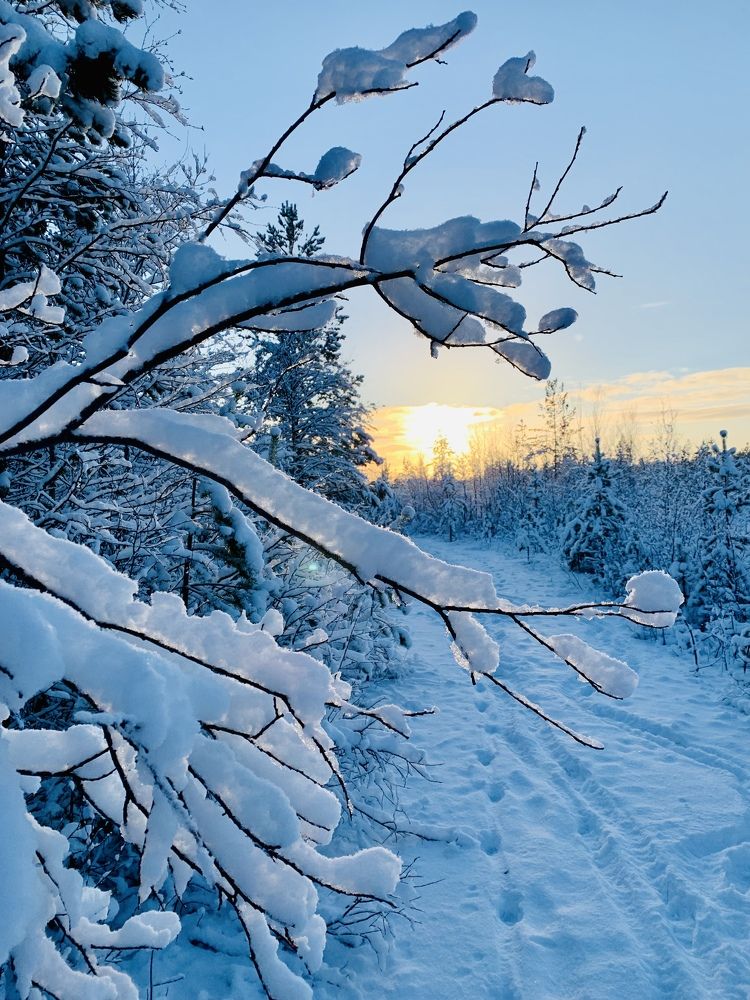 Taybol station.  Shining winter.