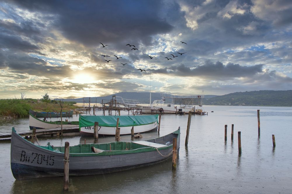 Photograph by Mirela Tortumanova