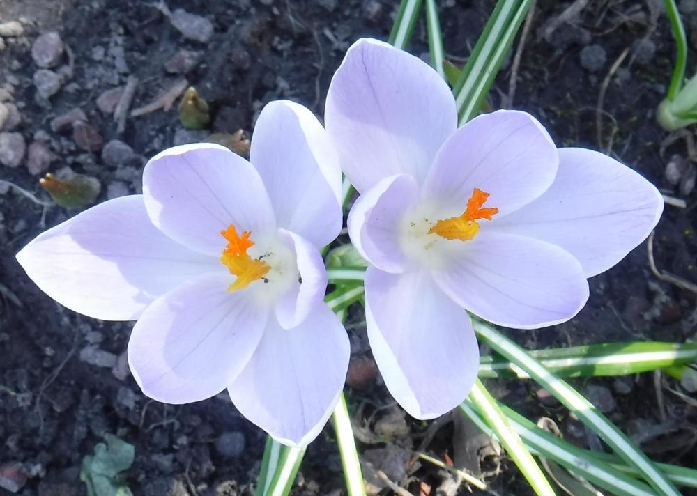 Photograph by Еlena Sukhoruchenkova