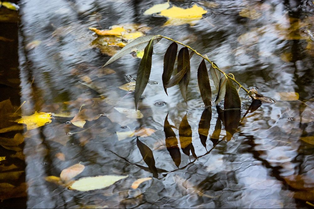 Photograph by Анна Цветковская