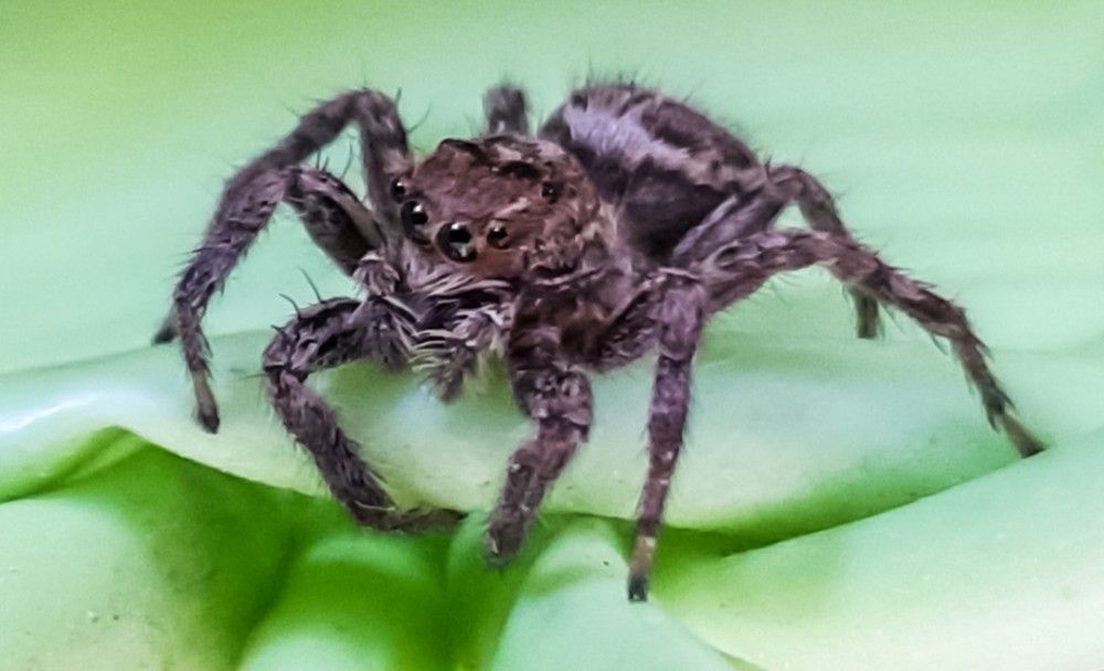 Photograph by asaf abras