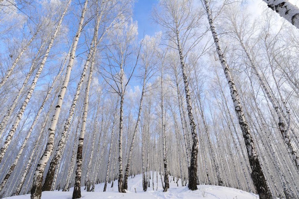 Photograph by Татьяна Марцинковски