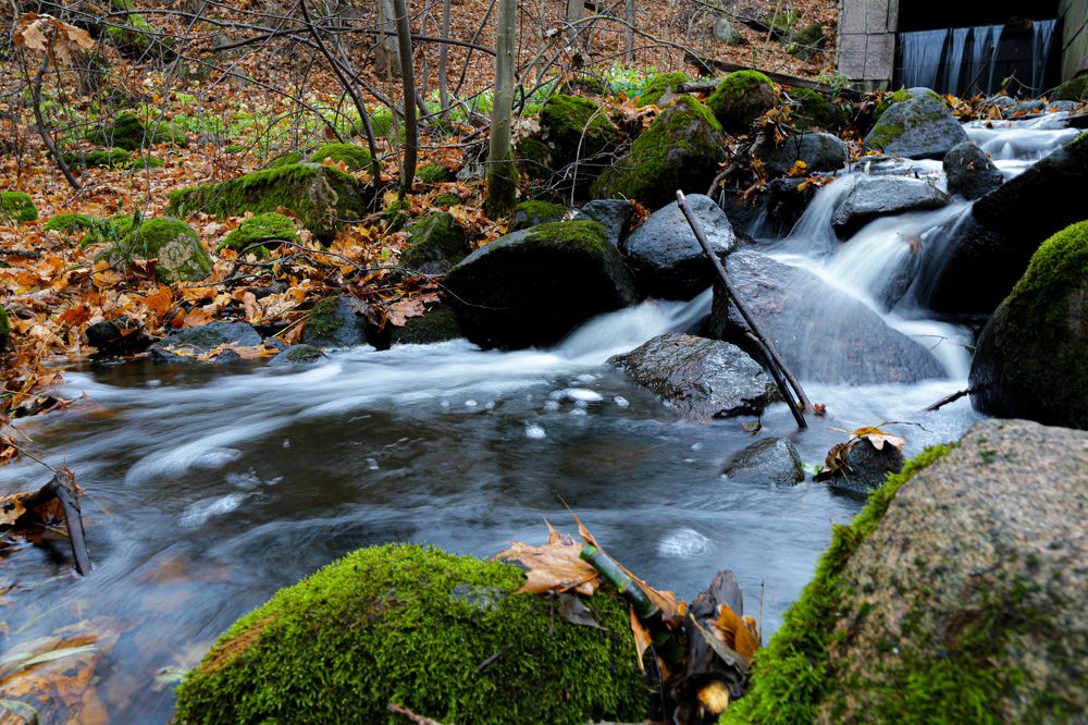 Photograph by Дмитрий Малышев