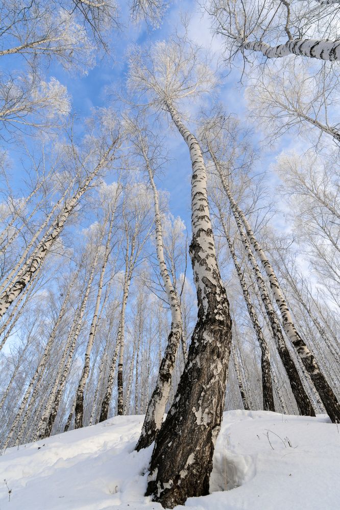 Photograph by Татьяна Марцинковски