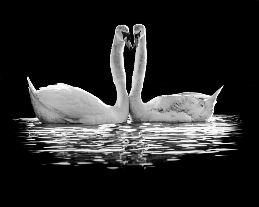 Photograph by JAMES BAILEY