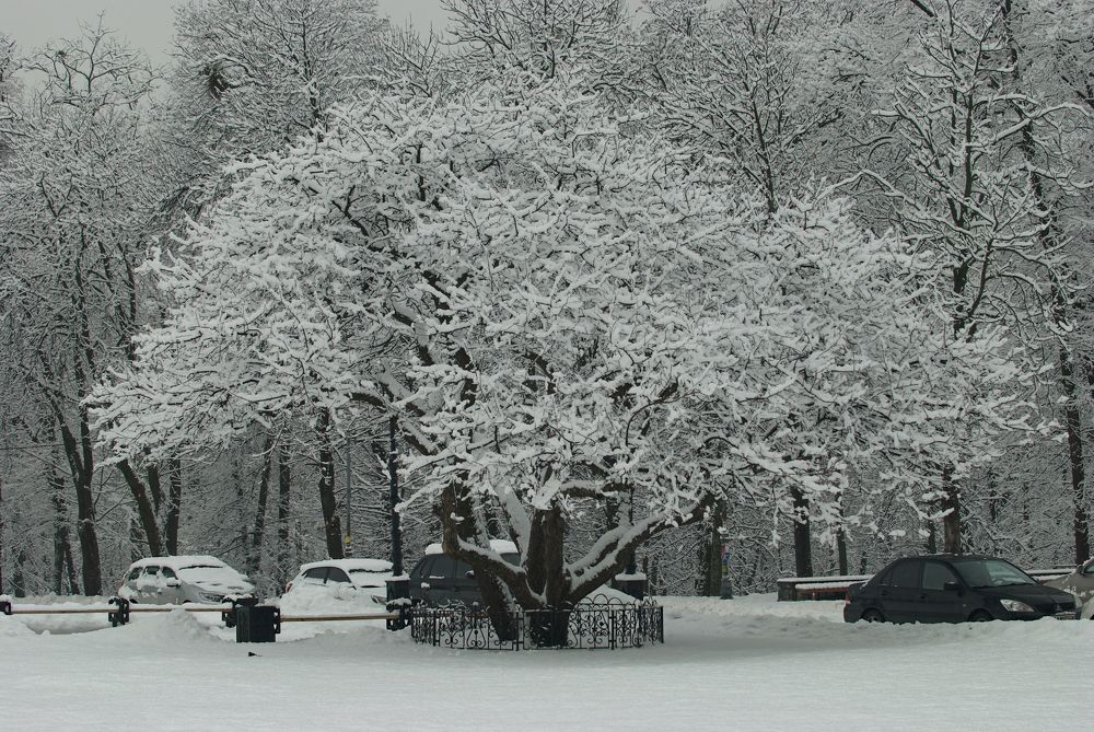 Photograph by Igor Ryzhov