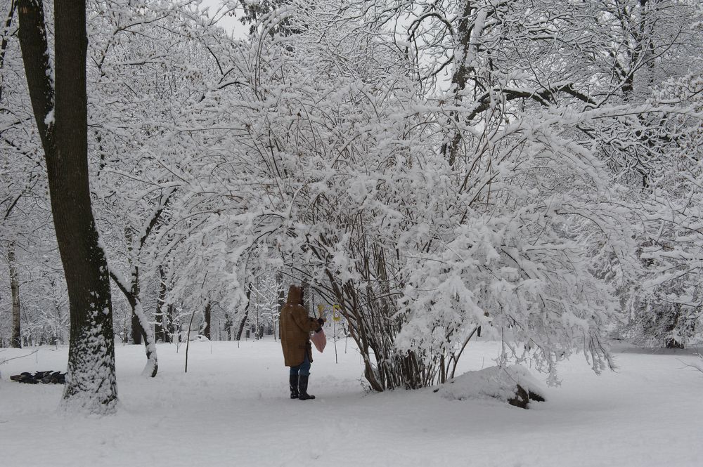 Photograph by Igor Ryzhov
