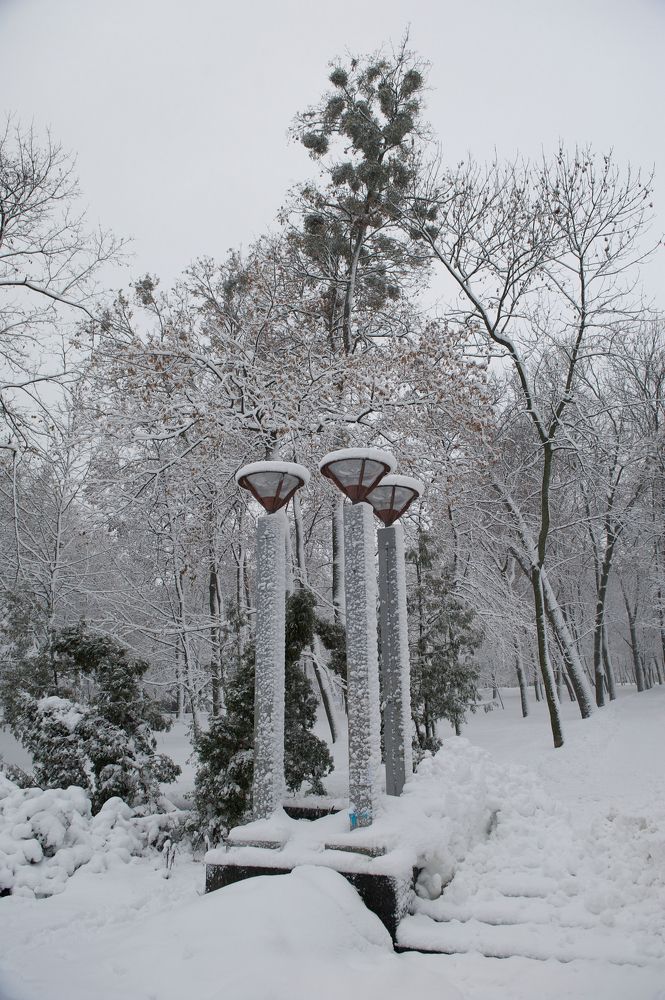 Photograph by Igor Ryzhov