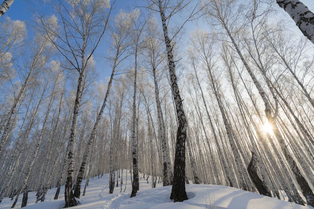 Photograph by Татьяна Марцинковски