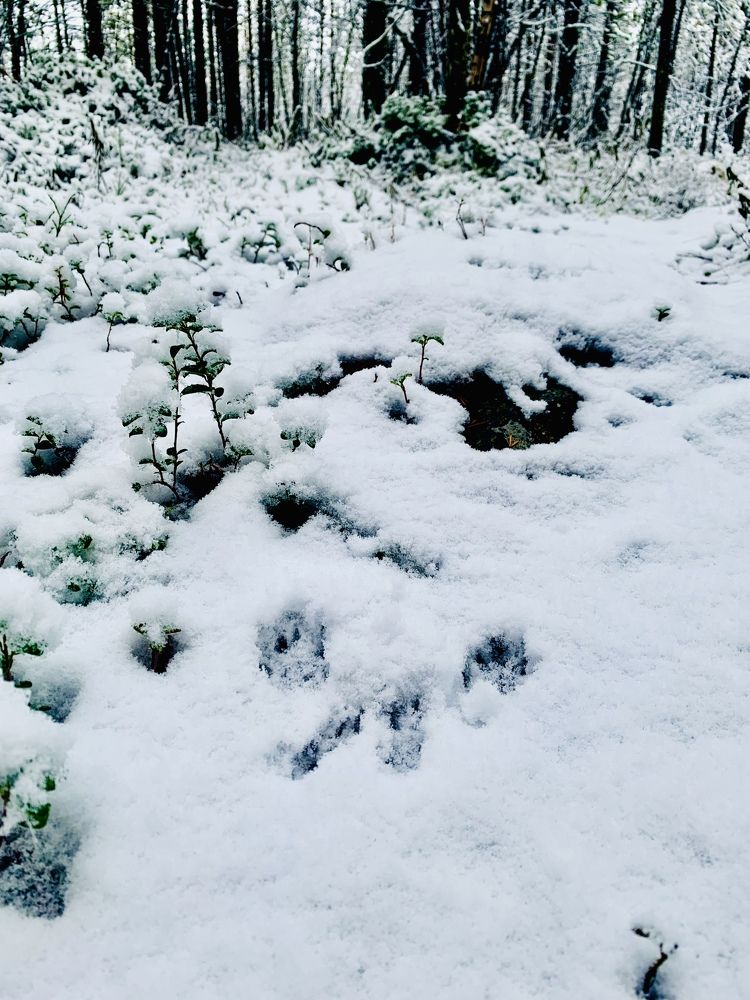 Photograph by Казимирова Юлия