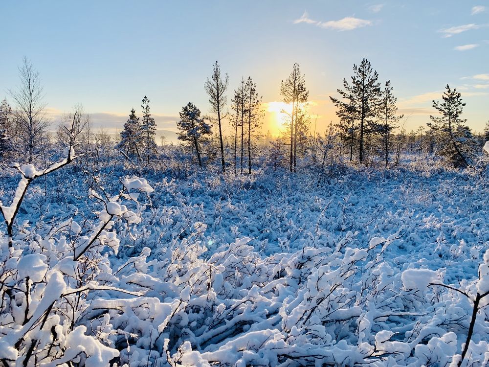 Photograph by Казимирова Юлия