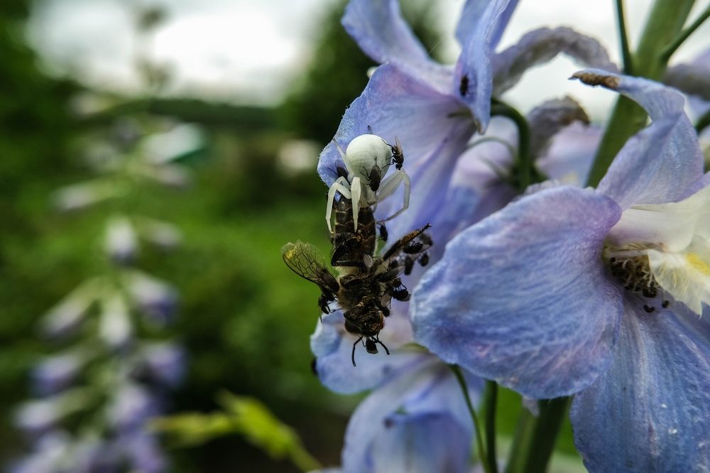 Photograph by Алексей Коровин