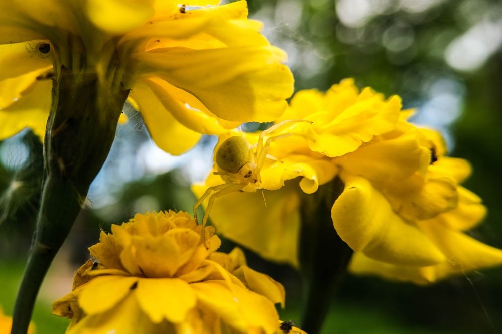 Photograph by Алексей Коровин