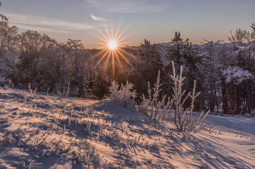 Фотография автора Guzel Kolobova