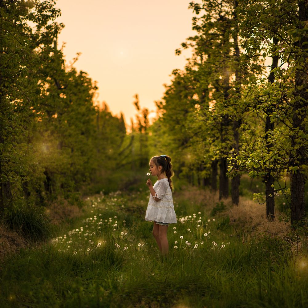 Photograph by Lorena Costantini