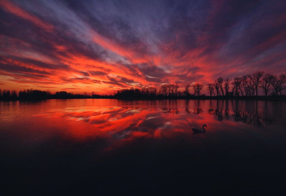 Фотография автора František Tóth