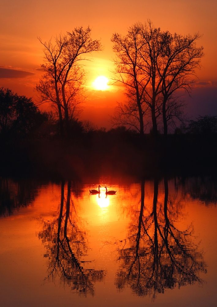 Фотография автора František Tóth