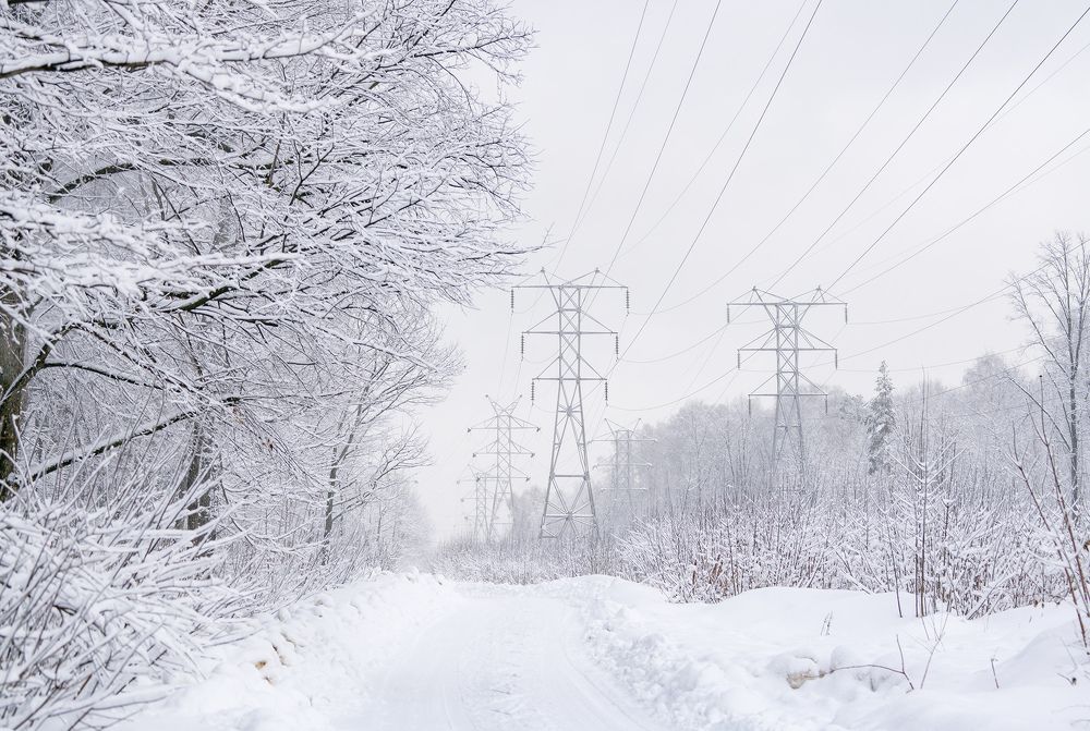 Photograph by Олег Милеев (Каминцев)