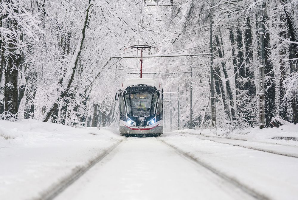 Photograph by Олег Милеев (Каминцев)