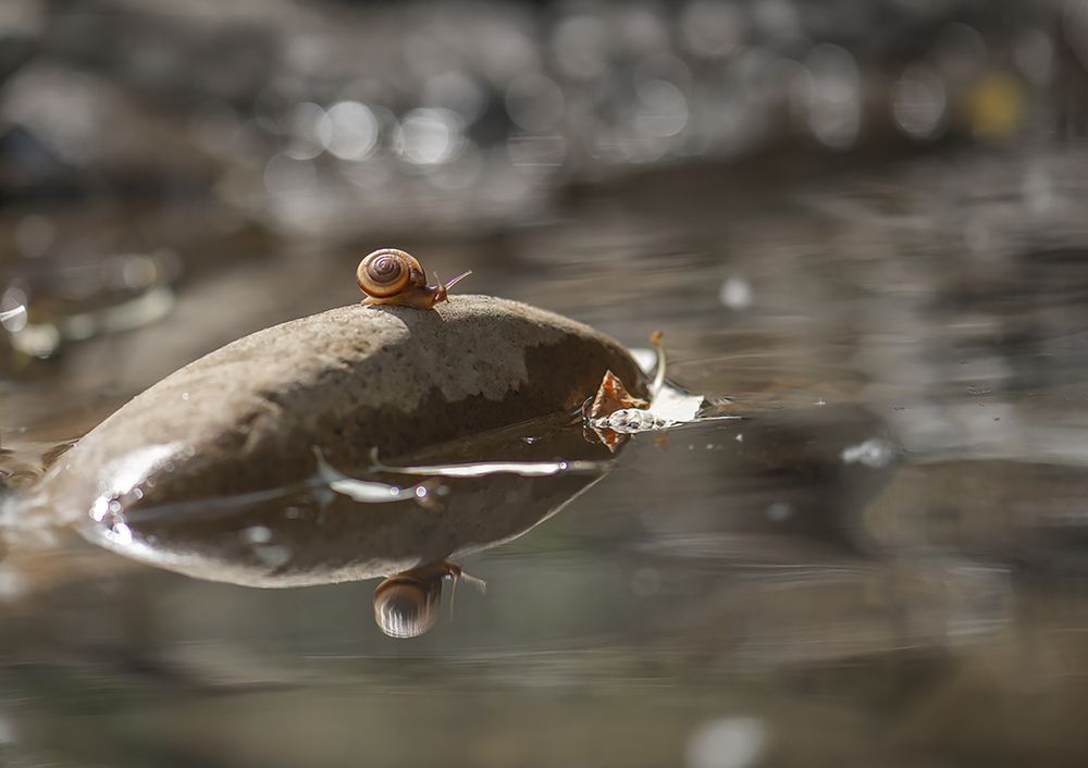 Photograph by Елена Осколкова
