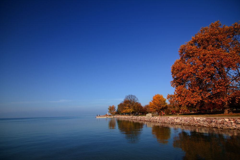 Фотография автора Joe Poldi