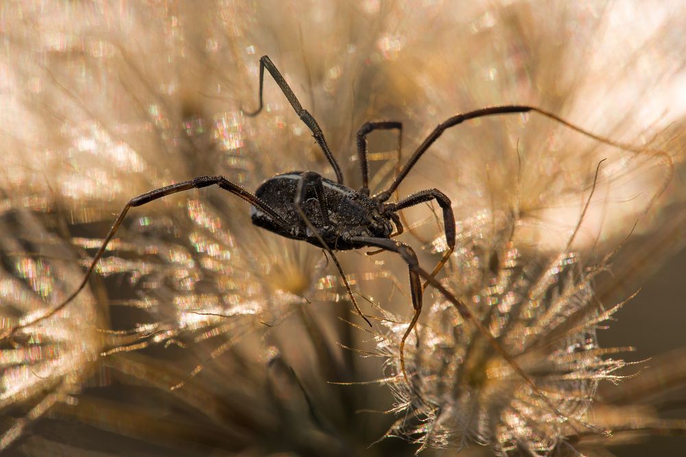 Photograph by Игорь ФУММ