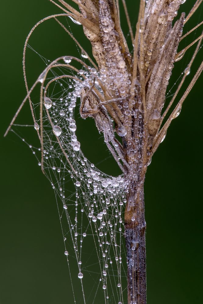 Photograph by Игорь ФУММ