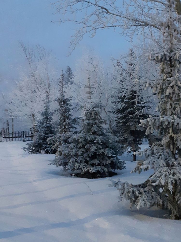 Фотография автора Марина Маллаева