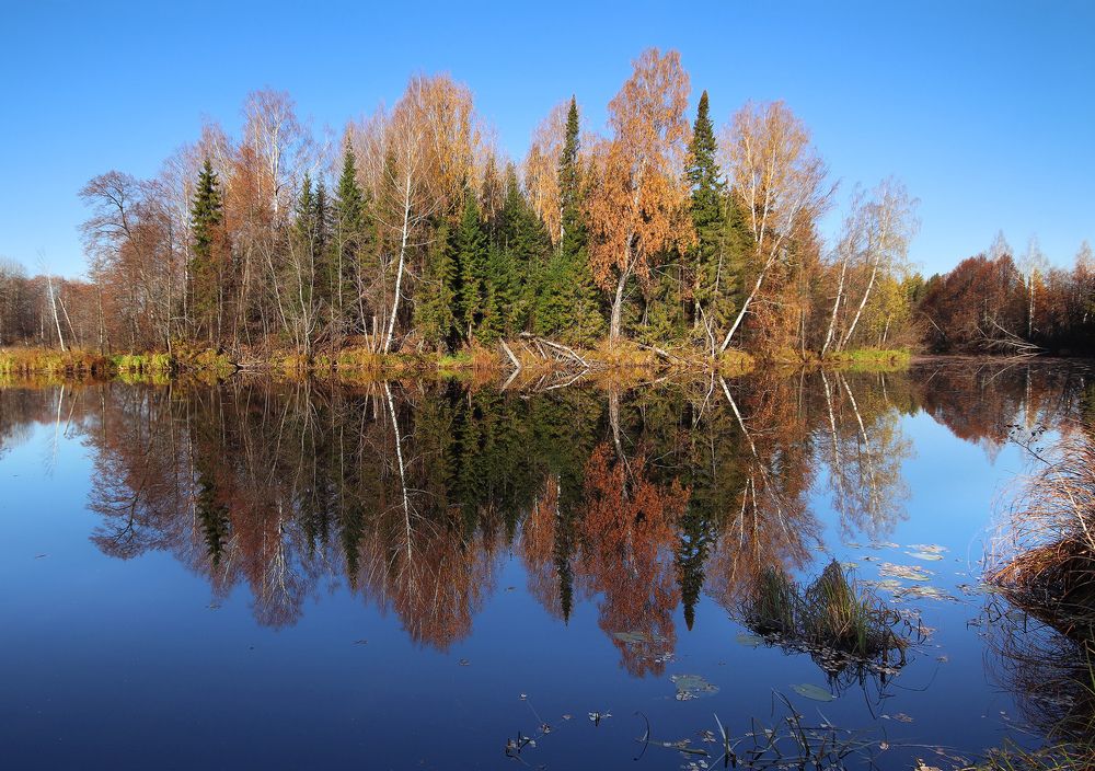 Photograph by Олег Фокин