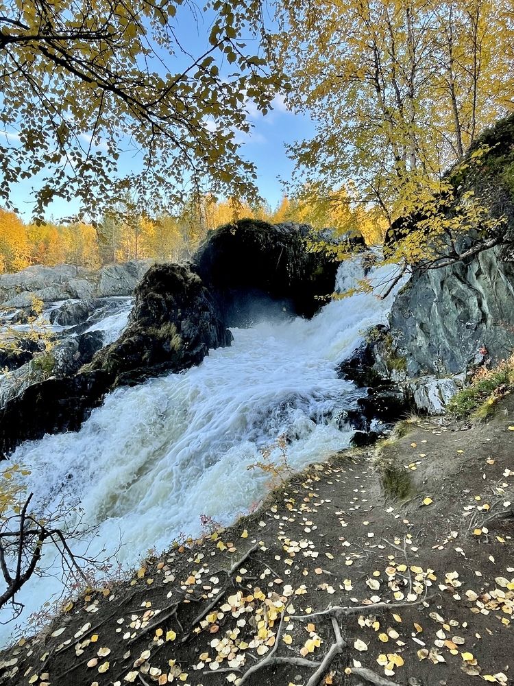 Фотография автора Юлия Шумейко