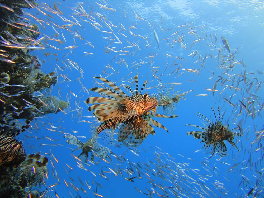 Photograph by Дмитрий Челноков