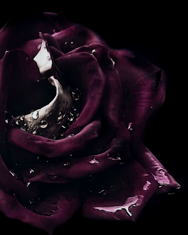 Photograph by Александр Деркач