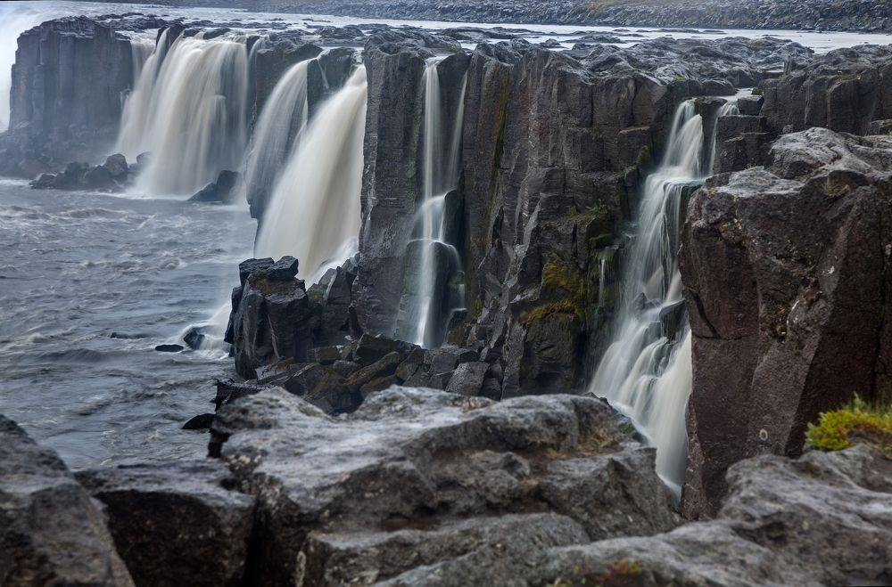 Фотография автора Dmitry Finkel