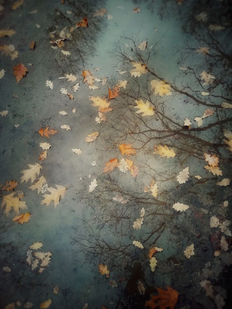 Photograph by Елена Кулыгина