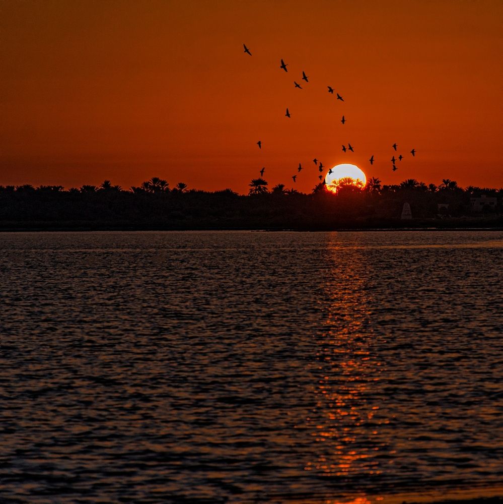 Photograph by Yasmin Elsharma