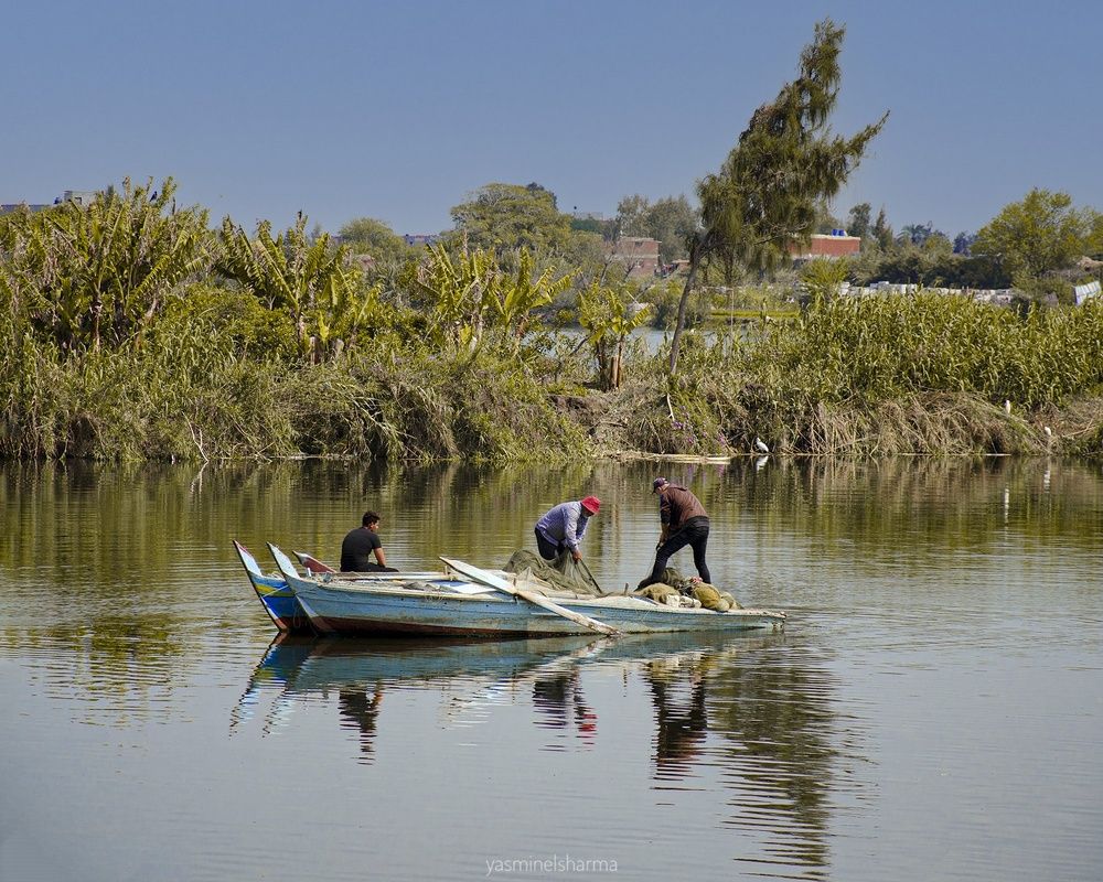 Photograph by Yasmin Elsharma