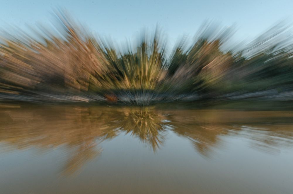 Photograph by Yasmin Elsharma