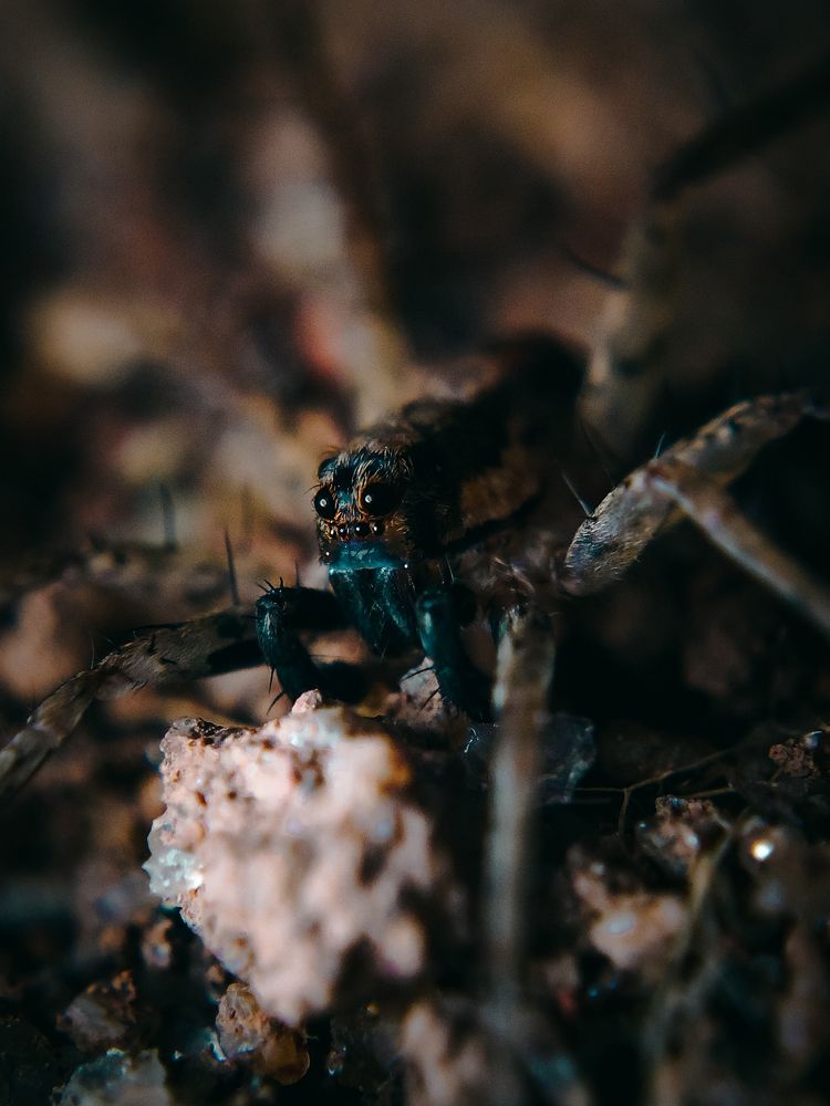 Photograph by Ashiq P F Mohammed