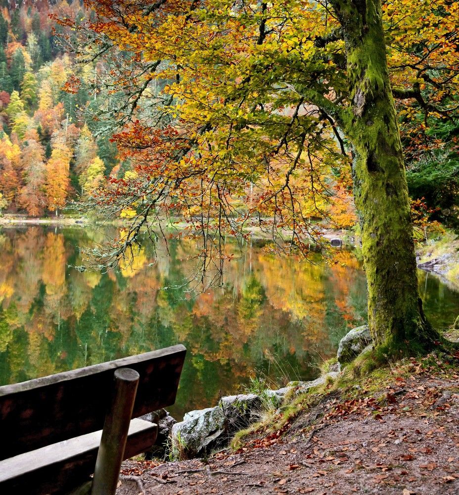 Photograph by Valentina Acrement