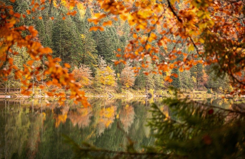 Photograph by Valentina Acrement